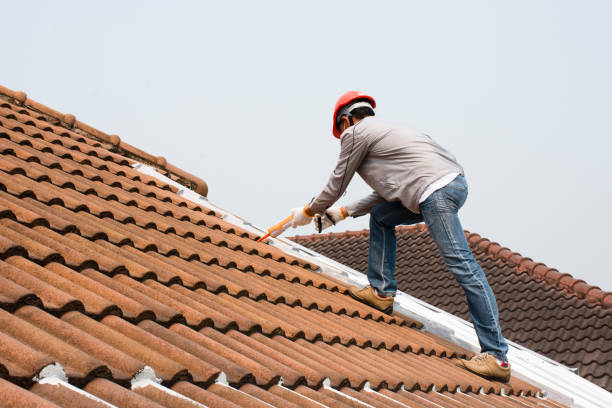 Best Metal Roofing Installation  in Capitol View, SC