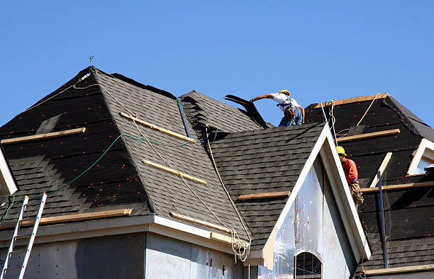 Best Storm Damage Roof Repair  in Capitol View, SC