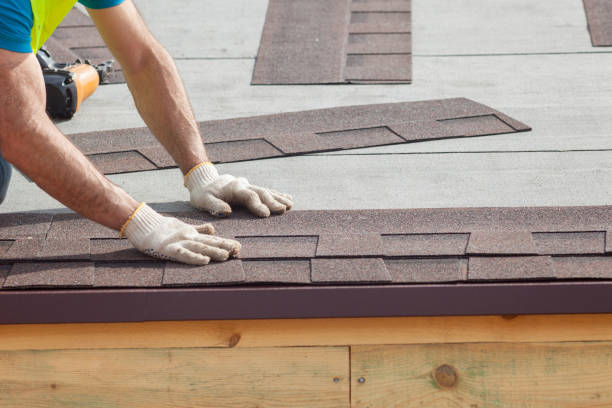 Best Roof Moss and Algae Removal  in Capitol View, SC
